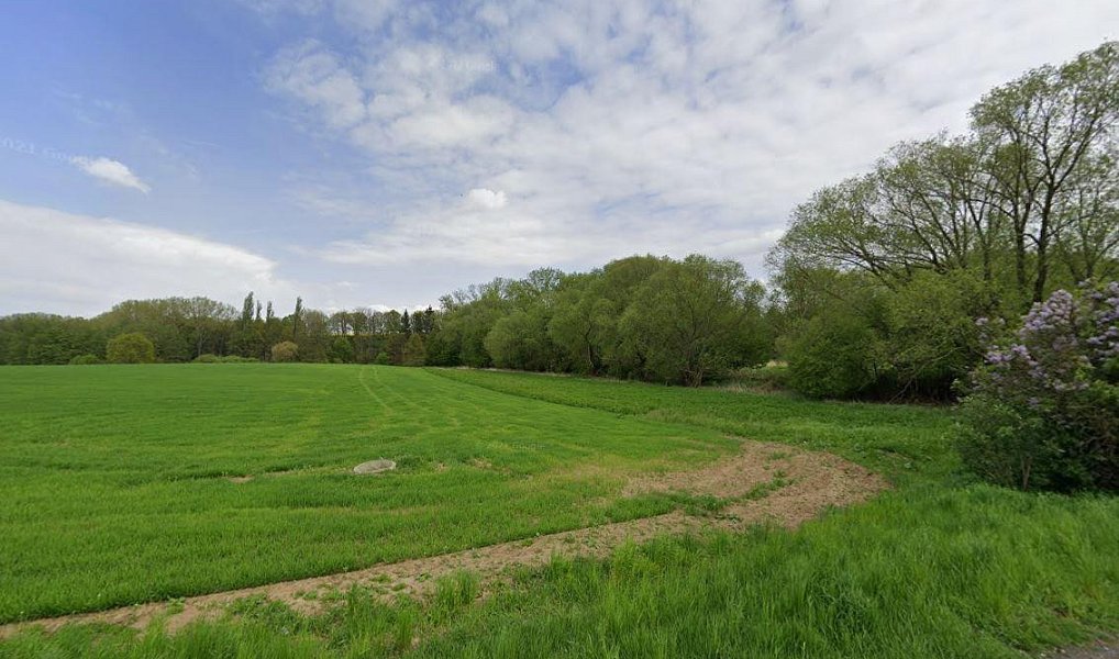 Prodej pole 4 623 m², Květnice – fotka 1 z 6