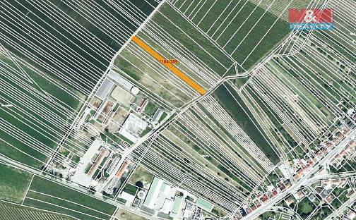 Prodej pole 226 m², Týnec, okres Břeclav