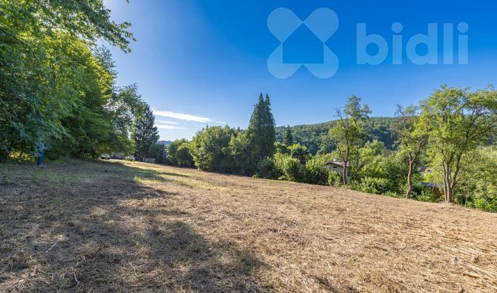 Prodej stavebního pozemku 8 271 m², Hradištko – náhled fotky 17