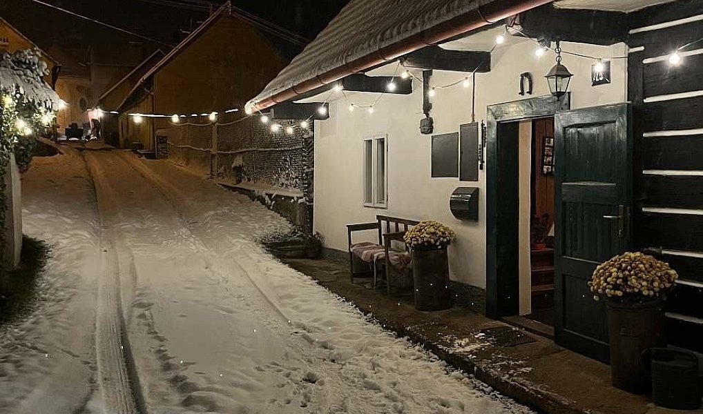 Prodej chalupy 141 m² s pozemkem 342 m², Liblín – náhled fotky 50