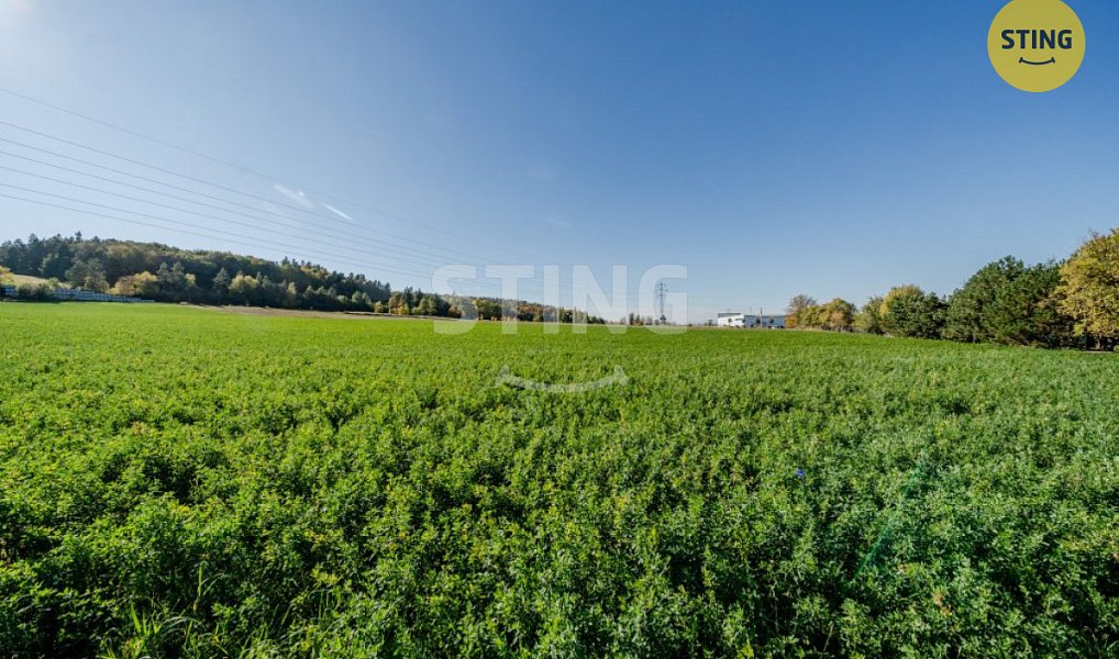 Prodej stavebního pozemku 4 000 m², Mokré Lazce – náhled fotky 3