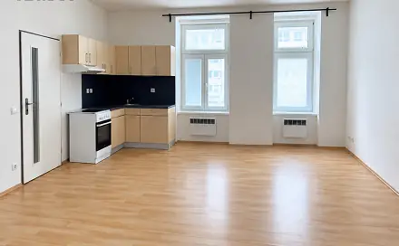 Pronájem bytu 1+kk 38 m², Klatovská třída, Plzeň - Jižní Předměstí