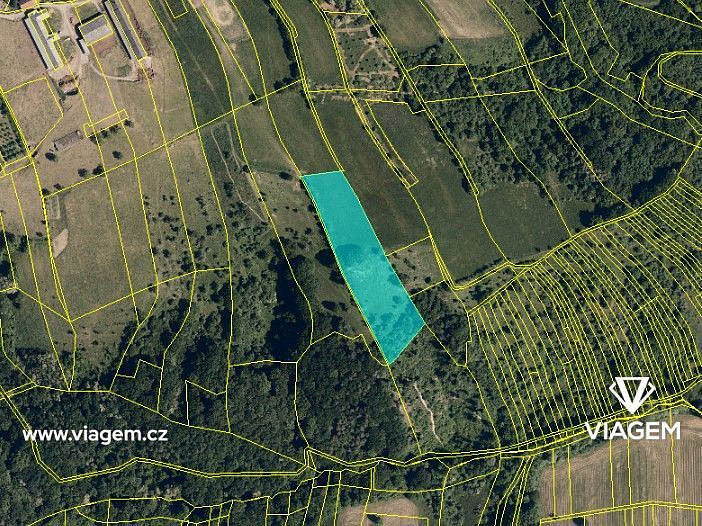 Prodej pole 1 321 m² – fotografie 3