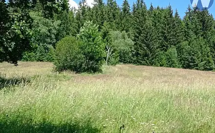 Prodej louky 22 888 m², Borová Lada, okres Prachatice