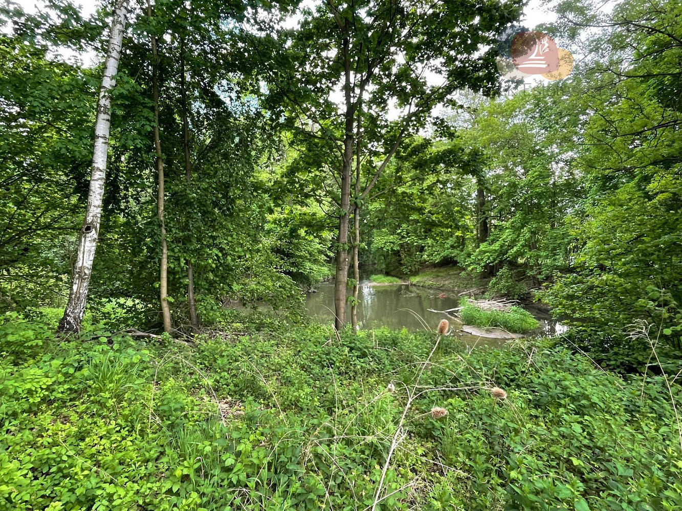 Prodej ubytovacího objektu 993 m² – fotografie 5