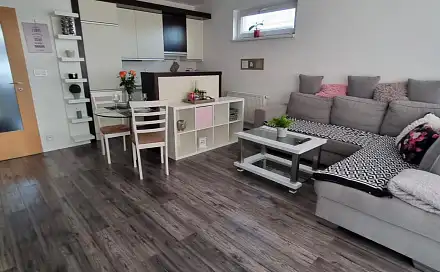 Pronájem bytu 2+kk 48 m², Janáčkova, Tábor