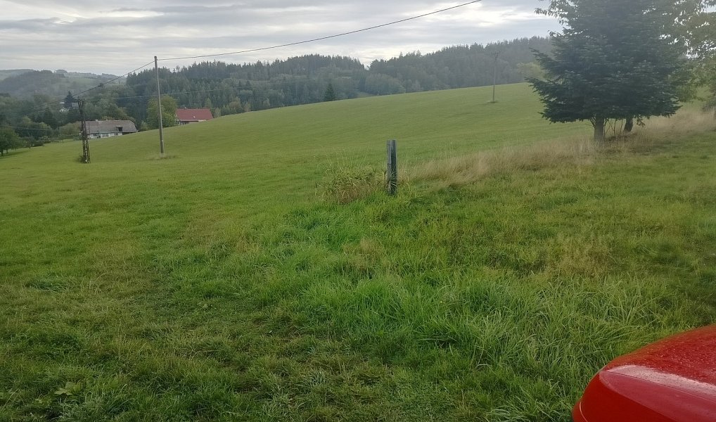 Prodej louky 15 200 m², Nekoř – náhled fotky 4