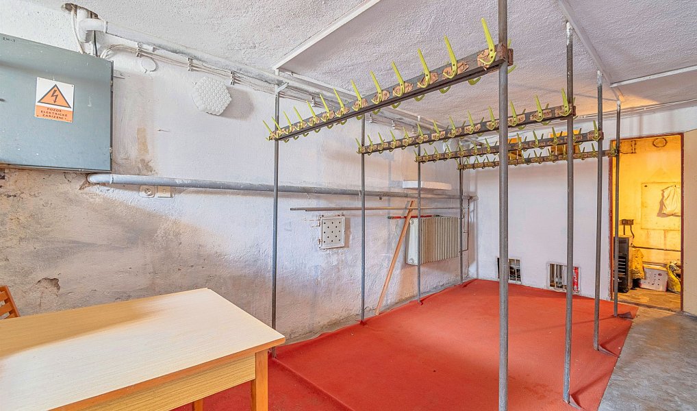 Prodej komerčního objektu (jiného typu) 750 m², Prostějov – náhled fotky 48