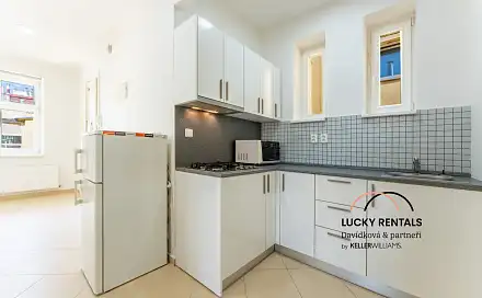 Pronájem bytu 1+kk 49 m², Moravská, Praha 2 - Vinohrady