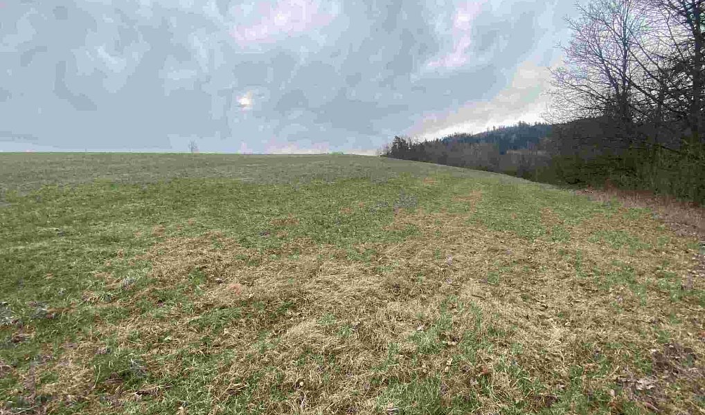 Prodej pole 14 714 m², Mírová pod Kozákovem – náhled fotky 4