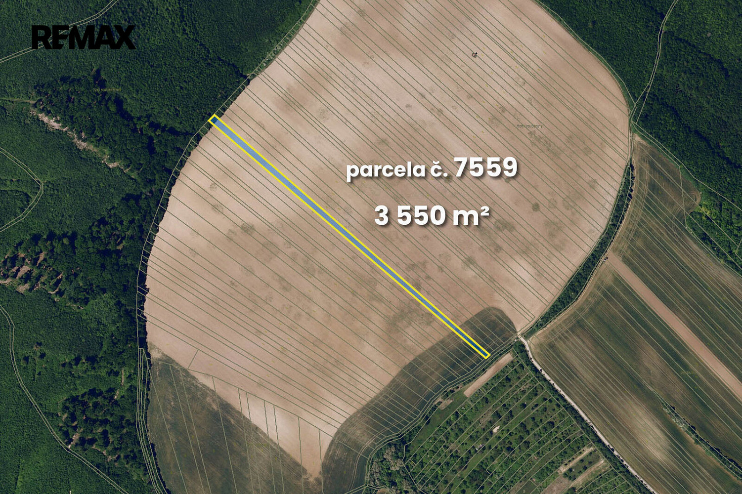 Prodej pole 5 542 m² – fotografie 4