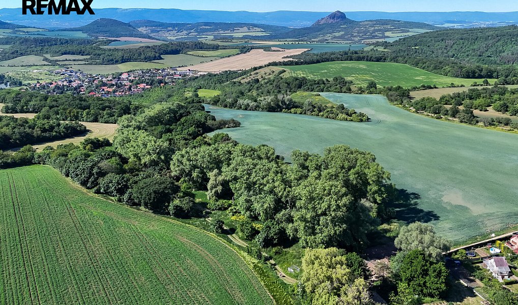Prodej lesa 5 841 m², Skršín – náhled fotky 5