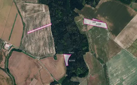 Prodej pole 24 528 m², Džbánice, okres Znojmo