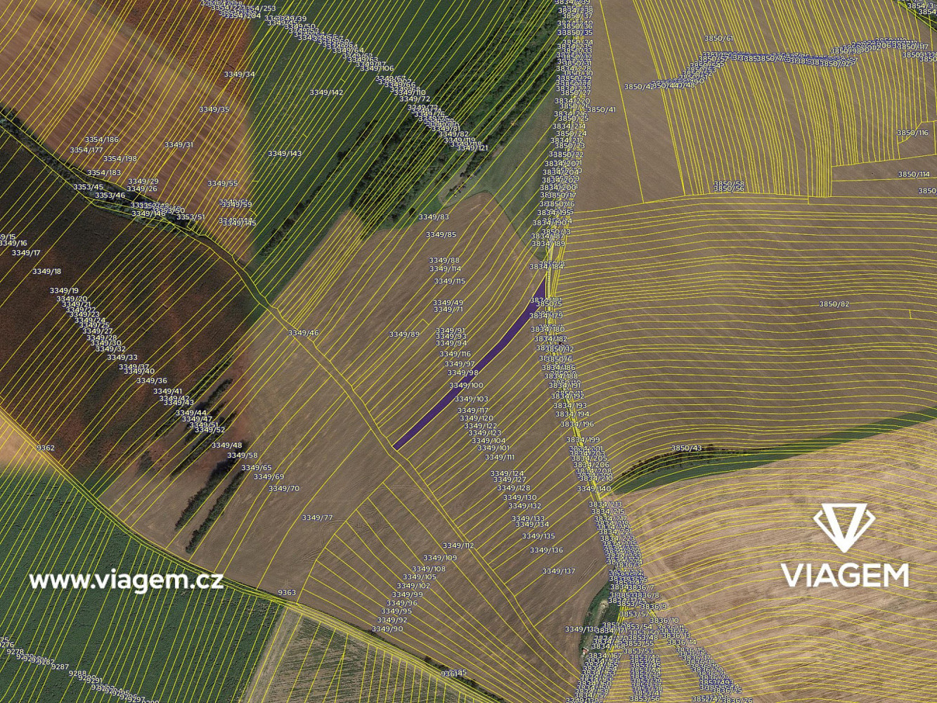 Fotka 4 z 5