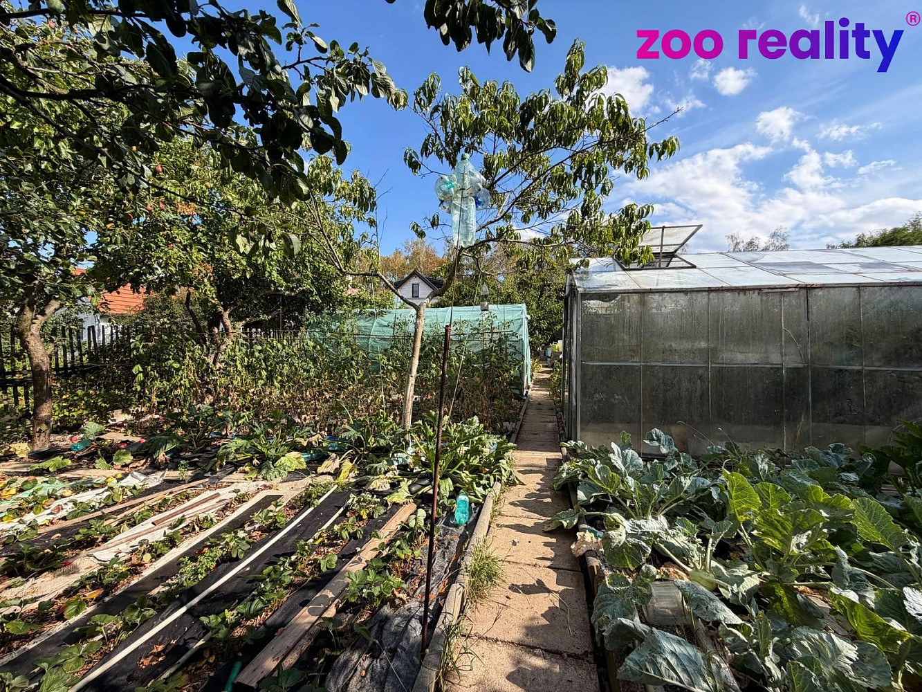 Prodej zahrady 400 m² – fotografie 5