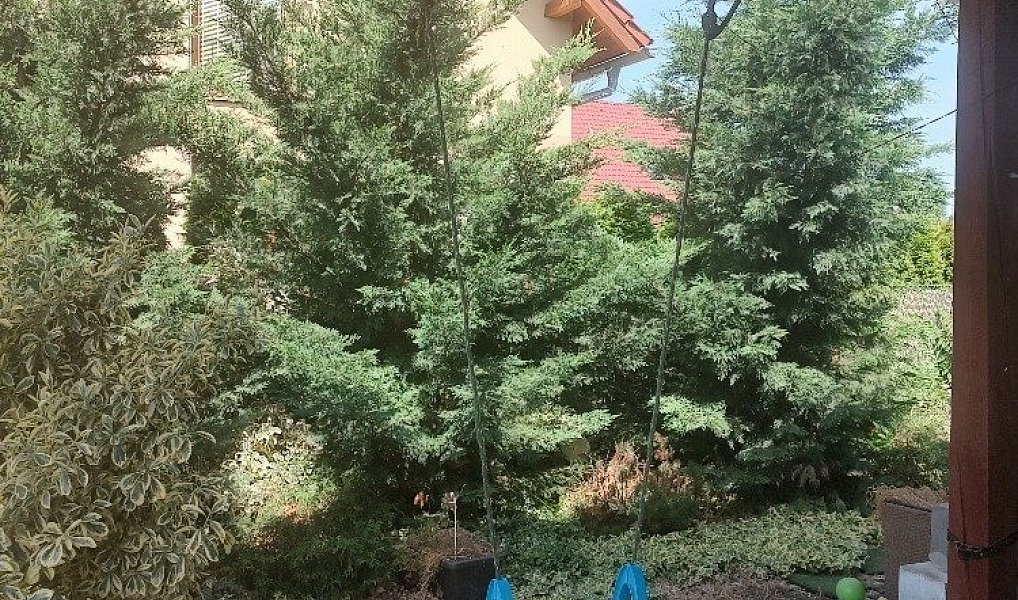 Prodej domu 233 m² s pozemkem 651 m², Božice – náhled fotky 43