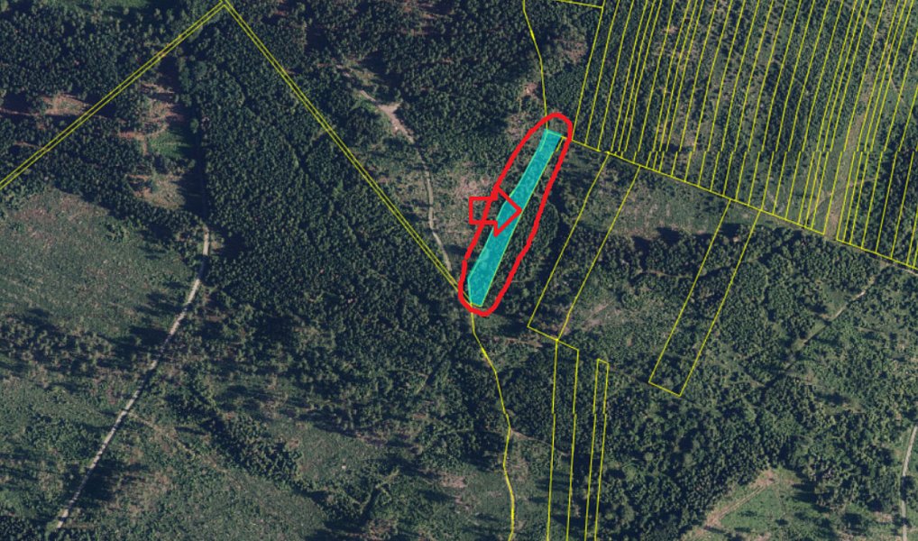 Prodej lesa 6 798 m², Nýřany – náhled fotky 2
