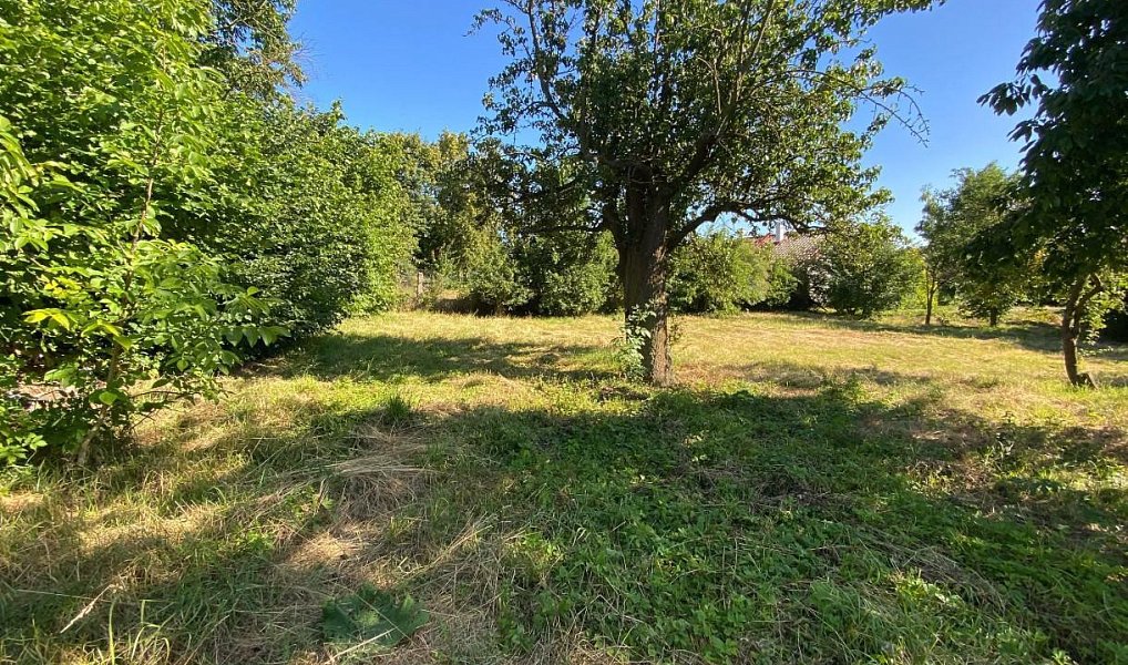 Prodej stavebního pozemku 763 m², Rybníček – náhled fotky 3