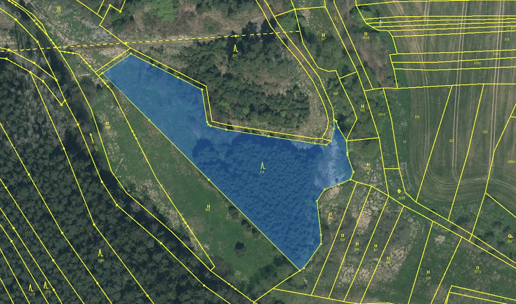 Prodej lesa 6 708 m², Zvěrotice – náhled fotky 10