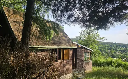 Prodej chaty/chalupy 45 m² s pozemkem 133 m², Za Horou, Petrov, okres Praha-západ