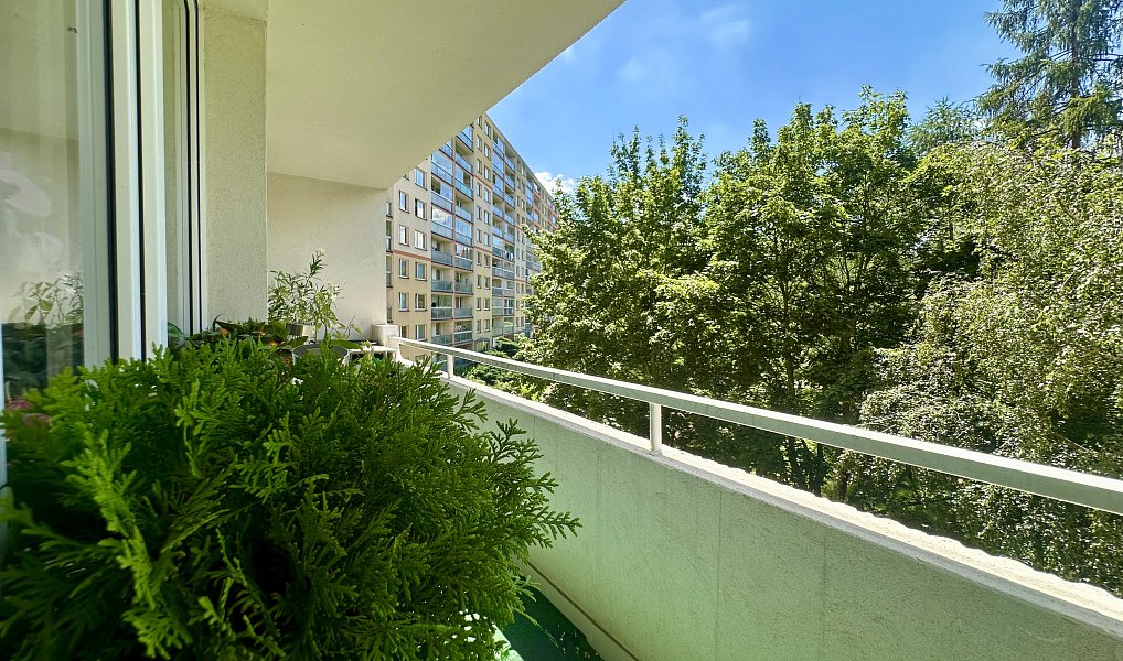 Pronájem bytu 3+1 75 m², Praha – náhled fotky 9