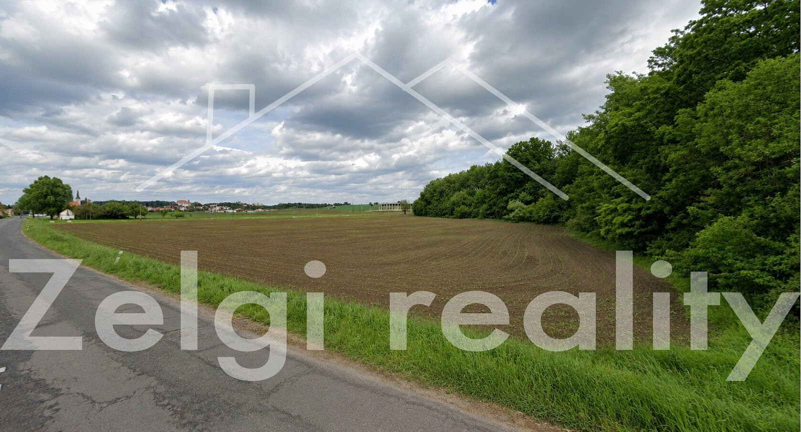 Prodej komerčního pozemku 14 000 m² – fotografie 3