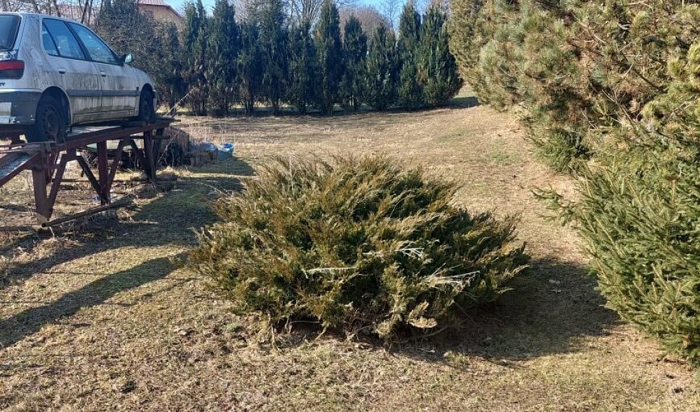 Prodej zemědělského objektu 150 m², Moravský Beroun – náhled fotky 9