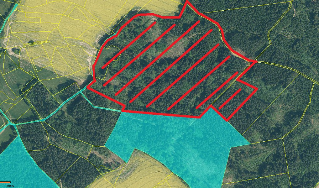 Prodej lesa 154 293 m², Milevsko – náhled fotky 4
