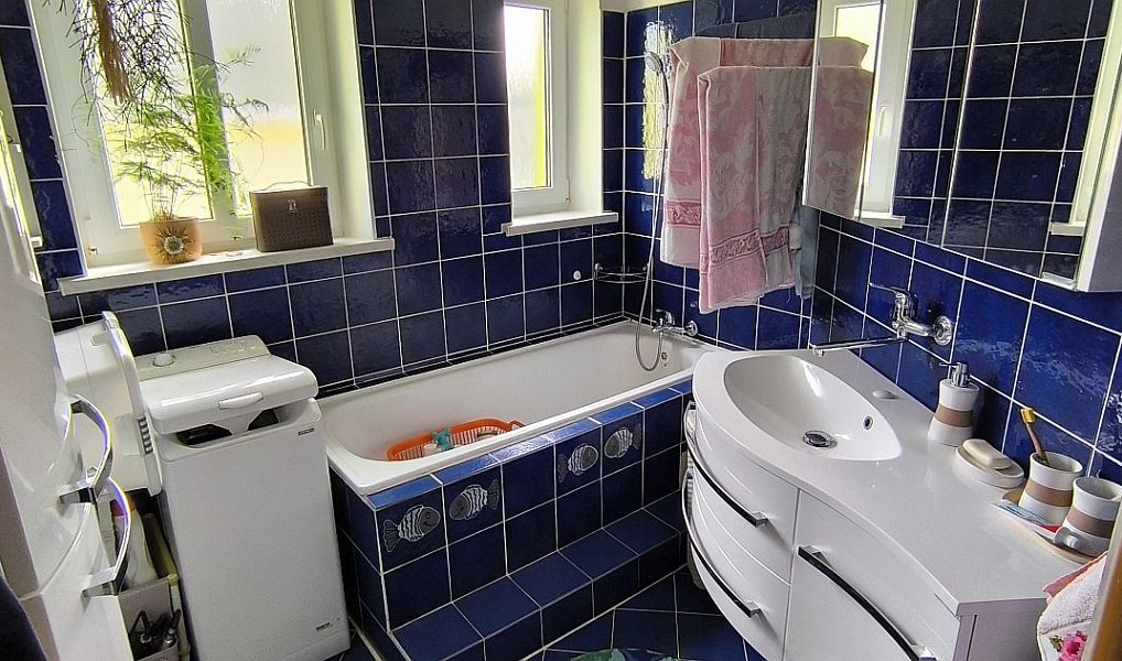 Prodej domu 330 m² s pozemkem 870 m², Aš – náhled fotky 14