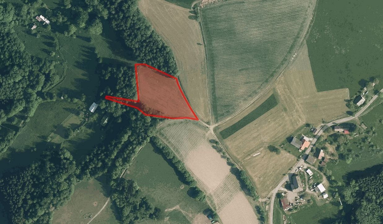 Prodej louky 6 018 m²