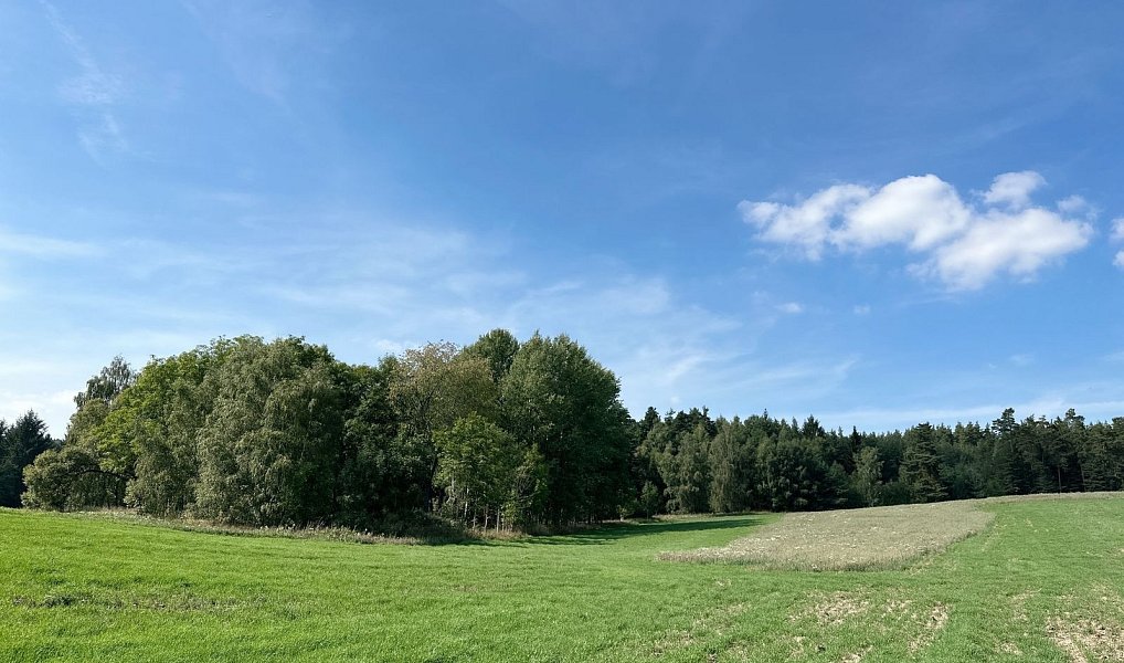 Prodej lesa 12 651 m², Dlouhý Újezd – náhled fotky 5