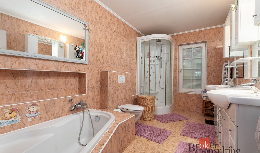 Prodej domu 159 m² s pozemkem 4 668 m², Neplachovice – náhled fotky 16