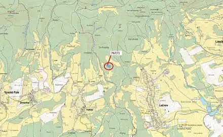 Dražba lesa 12 637 m², Tichov