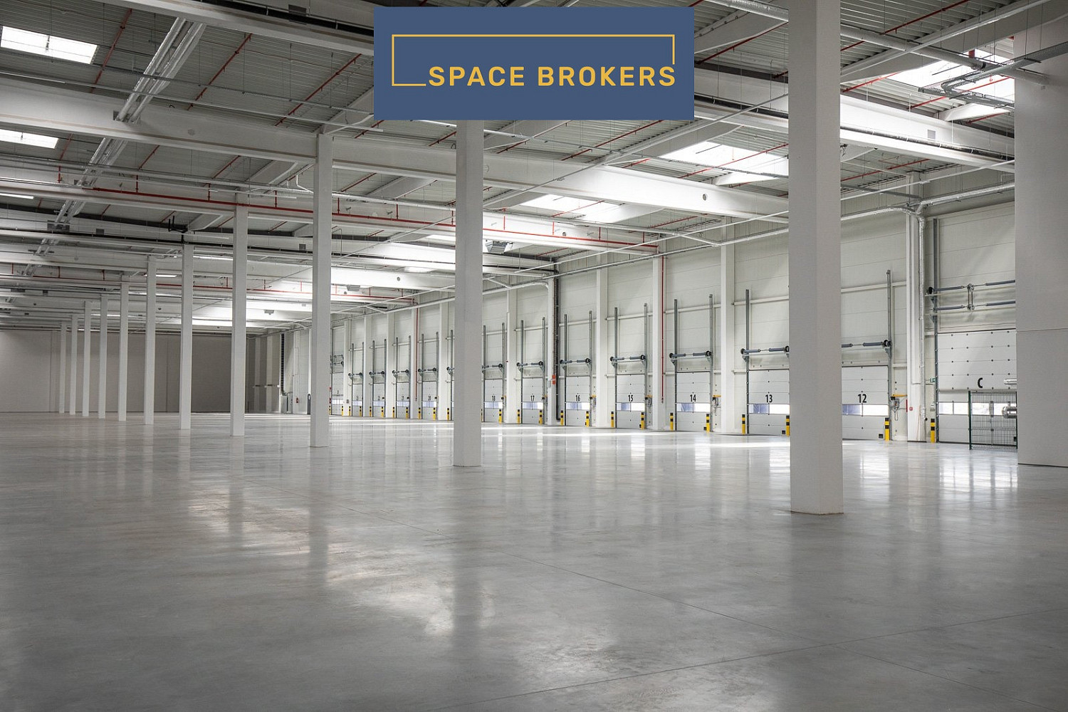 Pronájem skladovacích prostor 69 000 m² — photo 5