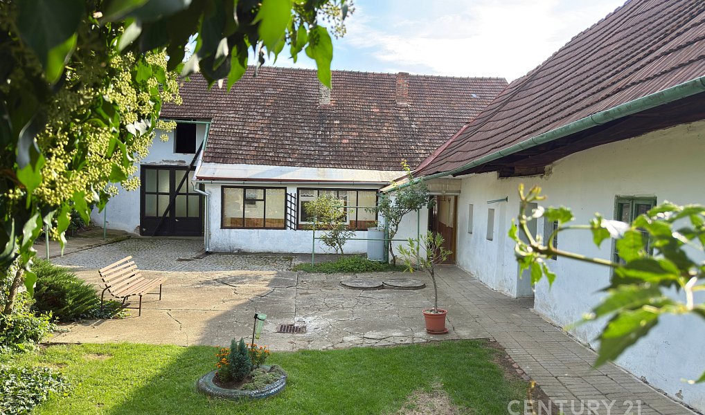 Prodej domu 114 m² s pozemkem 2 707 m², Pačlavice – náhled fotky 4