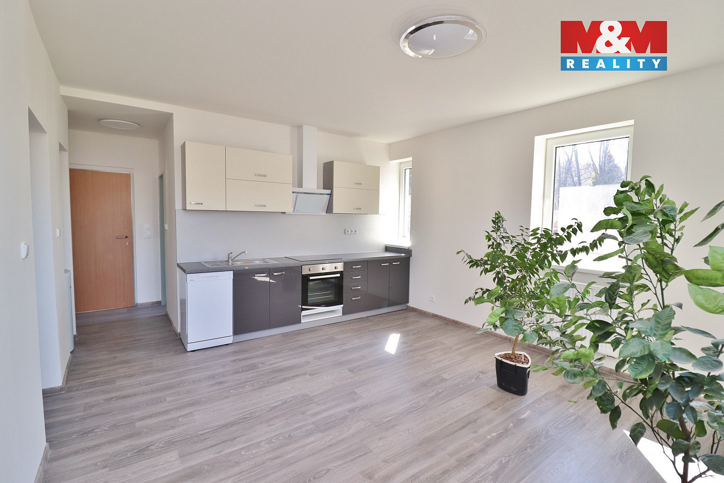 Prodej nájemního domu, činžáku 245 m² – fotografie 3