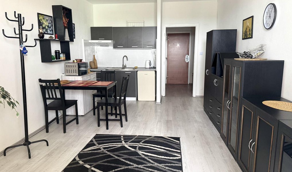 Prodej bytu 1+kk 27 m², Ostrava – náhled fotky 8