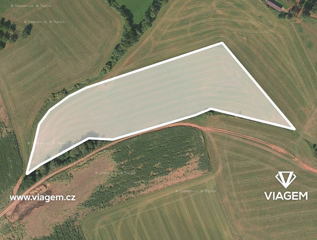 Prodej pole 6 599 m²