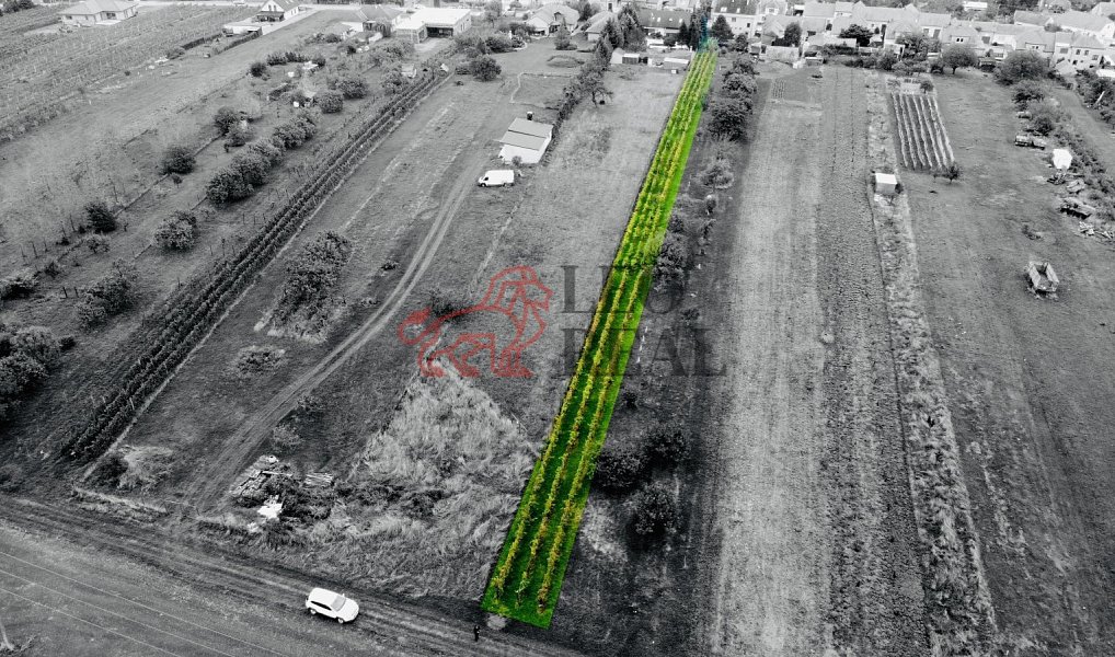 Prodej zahrady 1 237 m², Týnec – náhled fotky 9