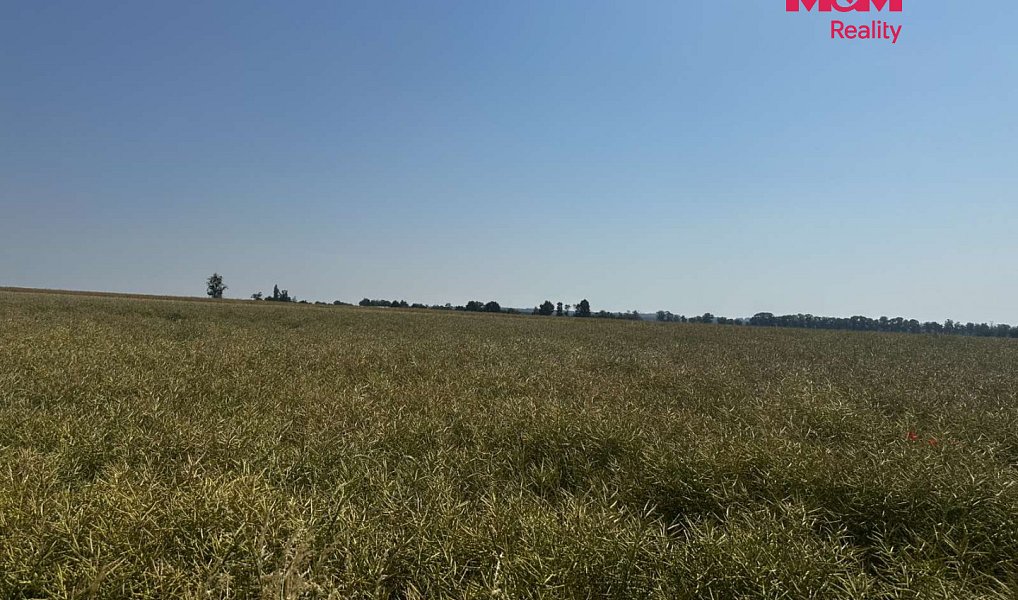 Prodej pole 244 621 m², Město Albrechtice – náhled fotky 3