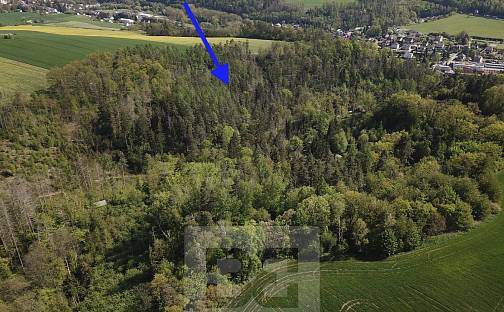 Prodej lesa 4 369 m², Chocerady, okres Benešov