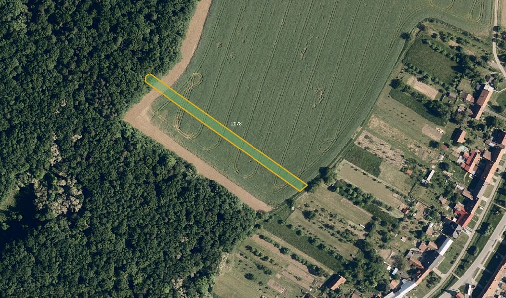 Prodej pole 13 193 m², Pačlavice – náhled fotky 2