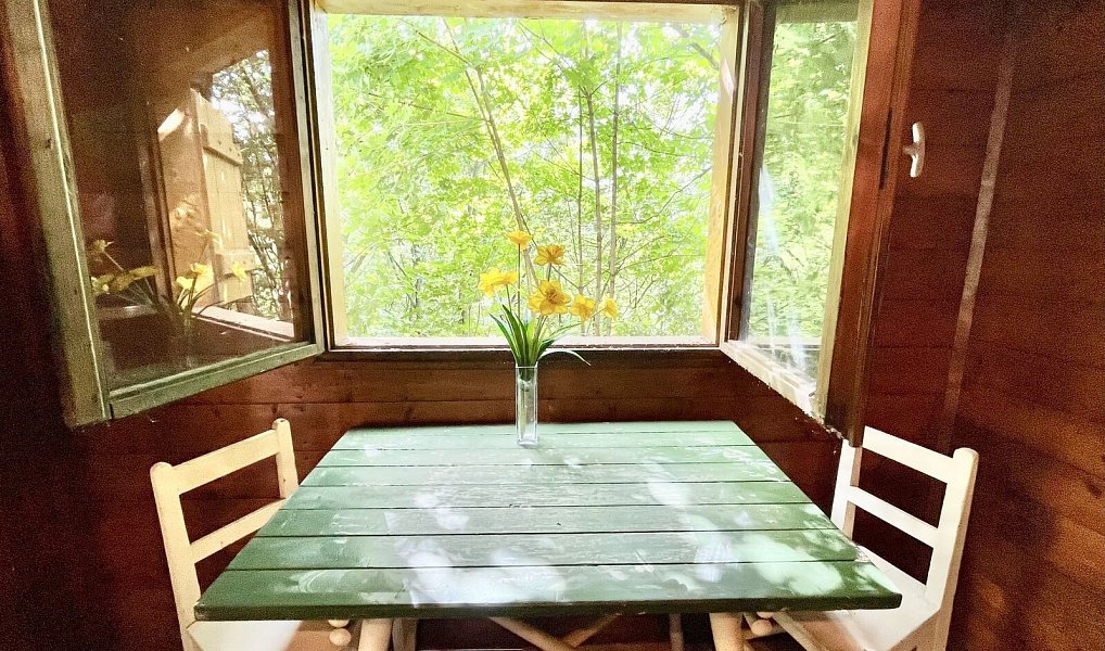 Prodej chaty/chalupy 26 m² s pozemkem 2 023 m², Zdiby – náhled fotky 11