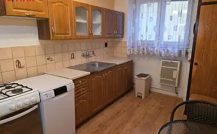 Prodej bytu 2+1 55 m², Svojsíkova, Teplice