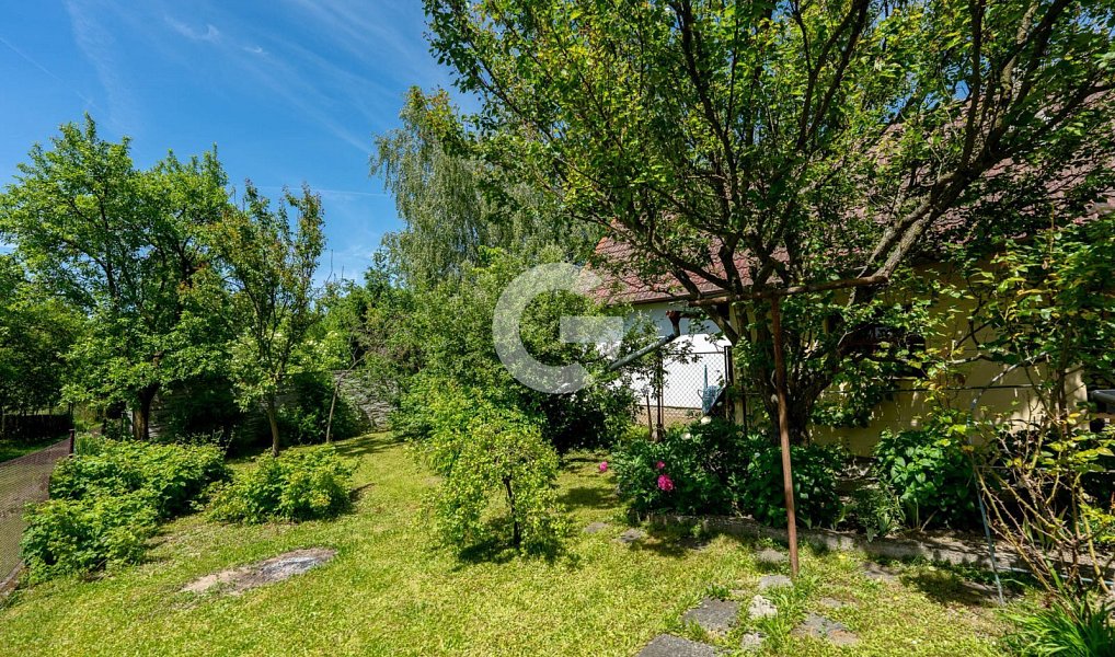 Prodej domu 85 m² s pozemkem 368 m², Žeranovice – náhled fotky 19