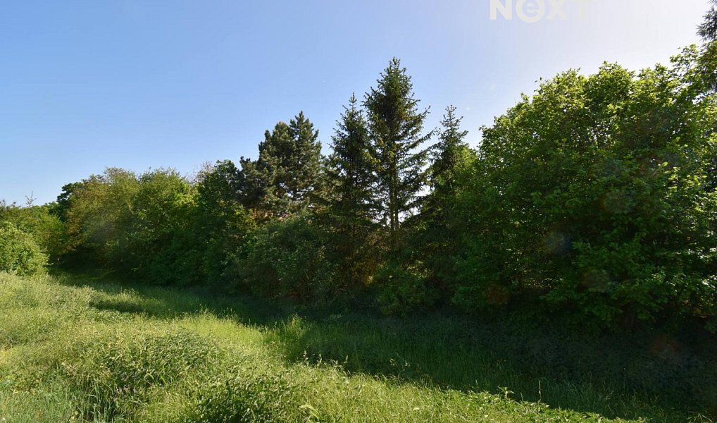 Prodej pole 7 326 m², Šlapanice – náhled fotky 3