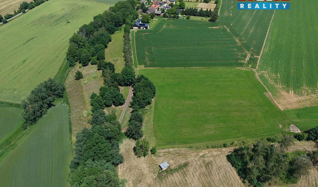 Prodej stavebního pozemku 33 850 m², Svijanský Újezd – náhled fotky 3