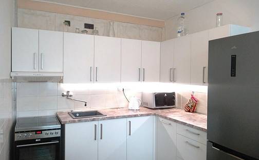 Prodej bytu 3+1 69 m², Pražská, Slaný, okres Kladno