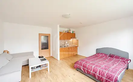 Pronájem bytu 1+kk 37 m²
