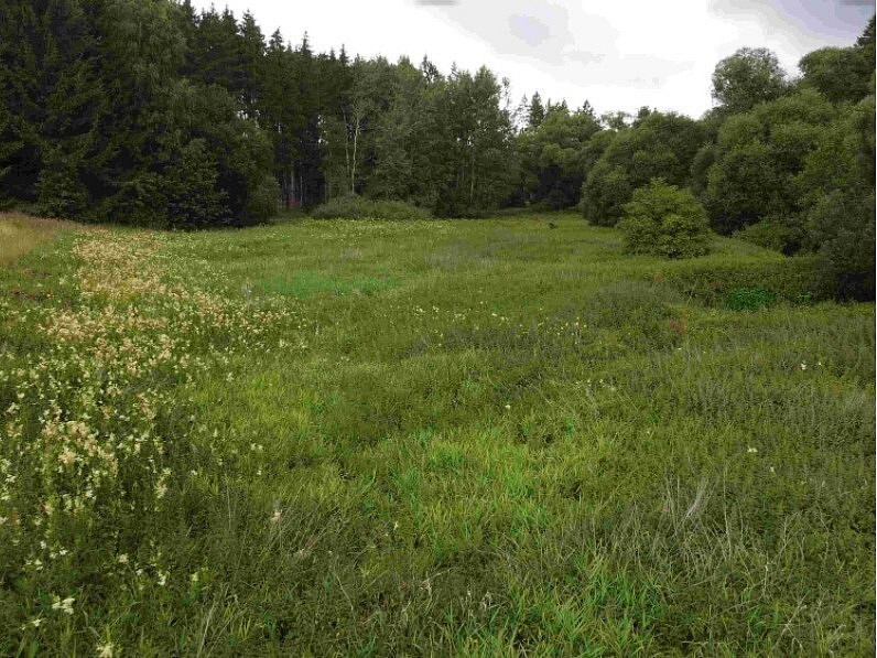 Dražba louky 22 334 m²